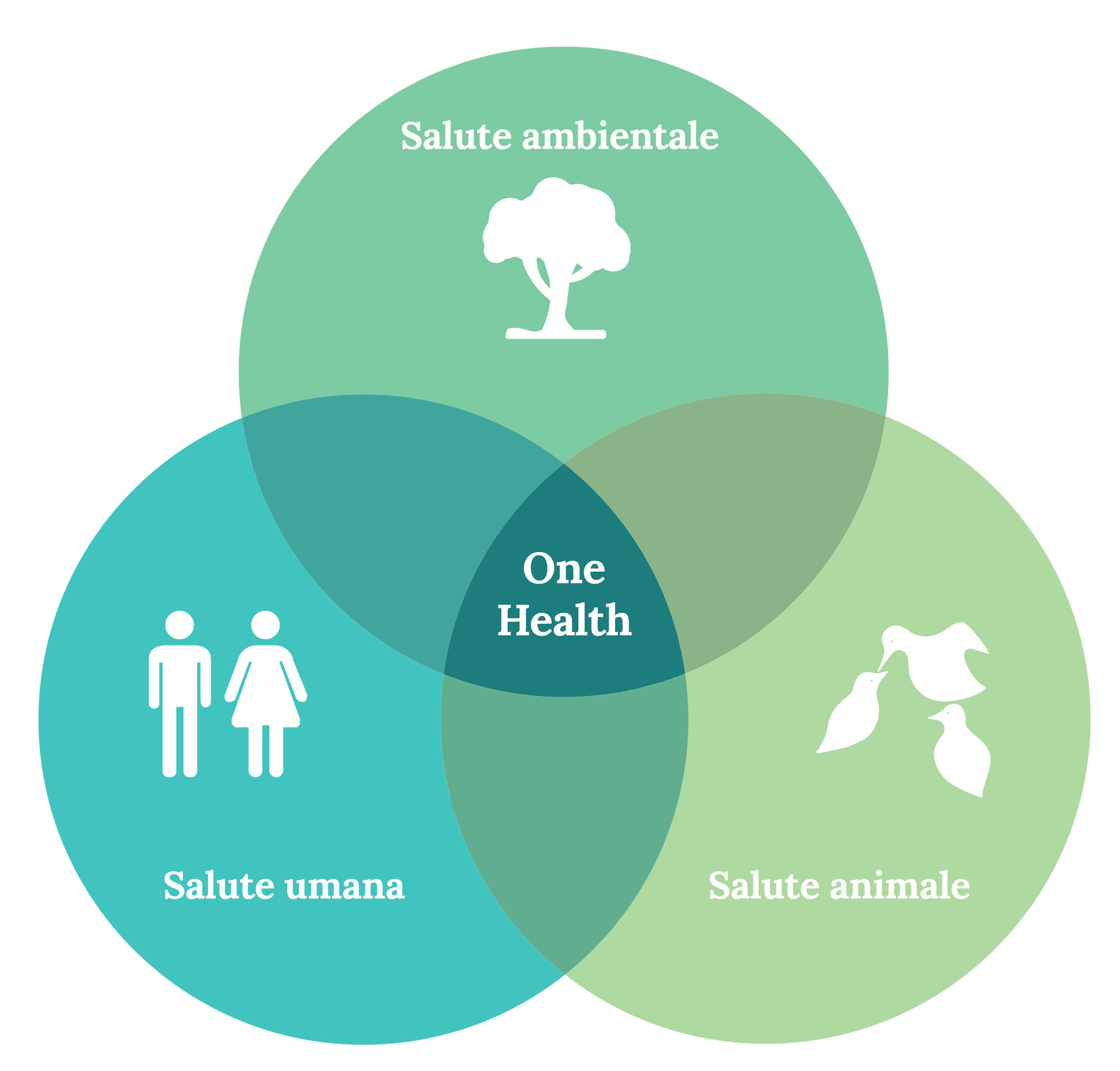 onehealth_graph